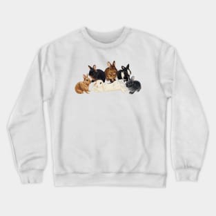 Kaninchen Familie 1 Crewneck Sweatshirt